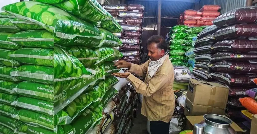 grain products trading business in India